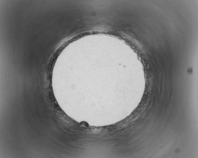 X0000116511160201001201439