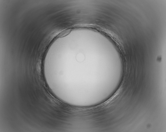 X0000116511161201001201439