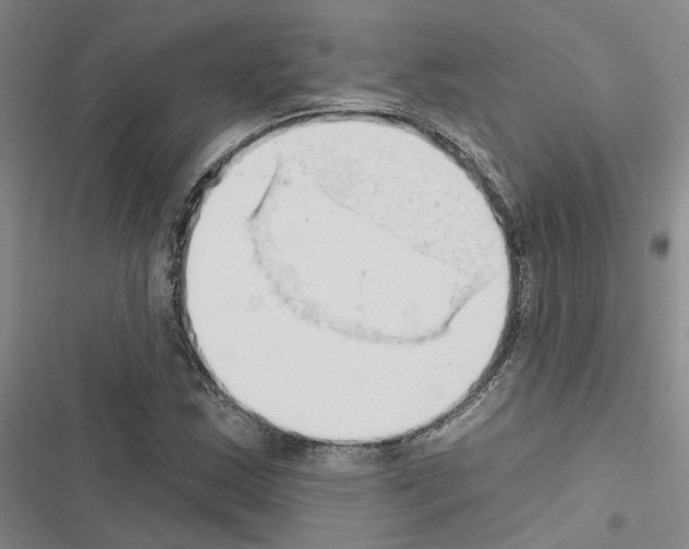 X0000116511163201001201439