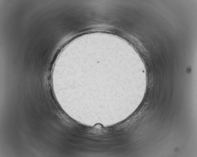 X0000116511164201001201439