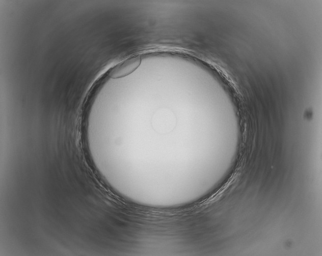 X0000116511165201001201439