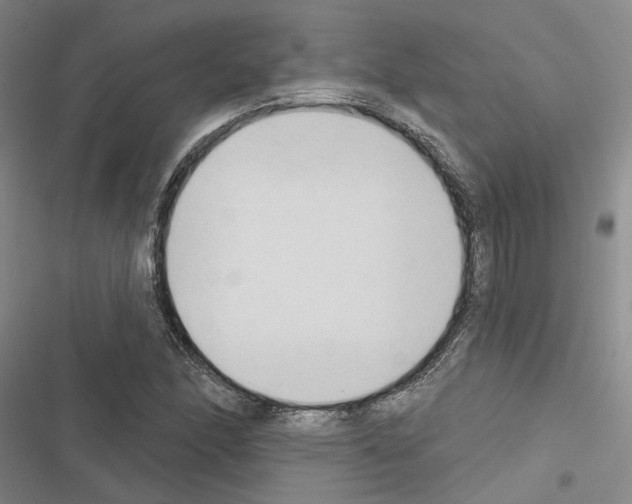 X0000116511166201001201439