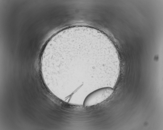 X0000116511167201001201439