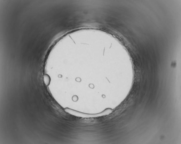 X0000116511168201001201439