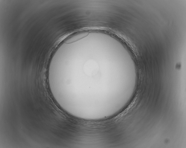 X0000116511169201001201439
