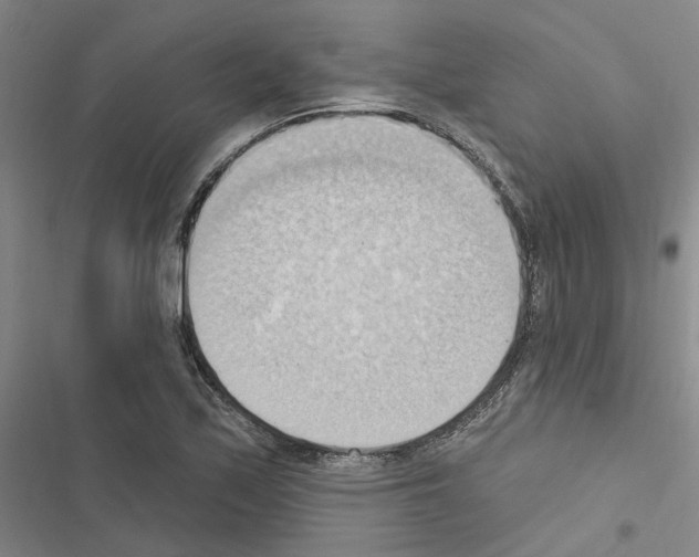 X0000116511171201001201439