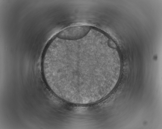 X0000116511173201001201439