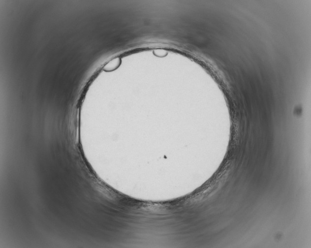 X0000116511175201001201439