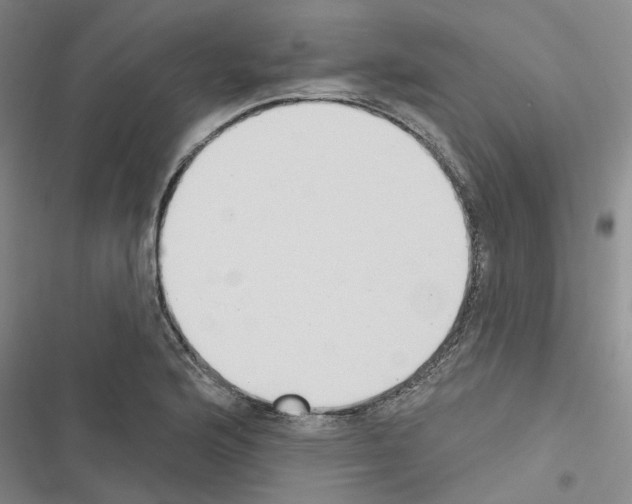 X0000116511176201001201439