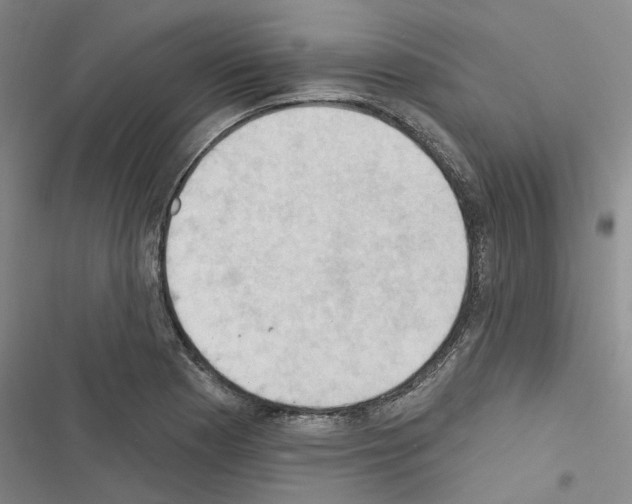 X0000116511177201001201439