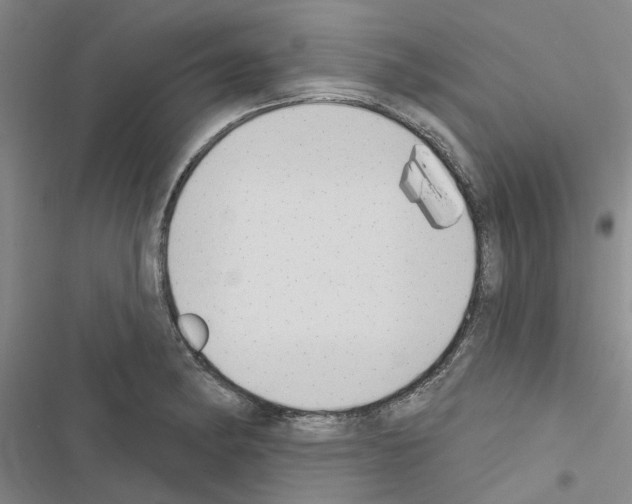 X0000116511182201001201439