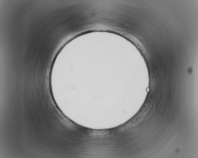 X0000116511183201001201439