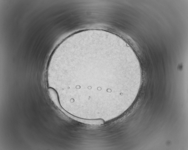 X0000116511184201001201439