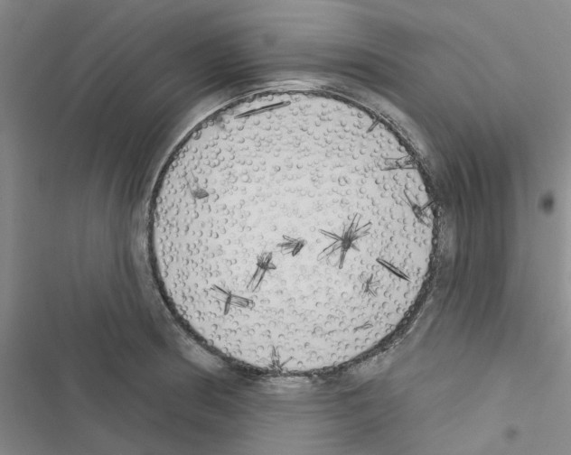 X0000116511186201001201439