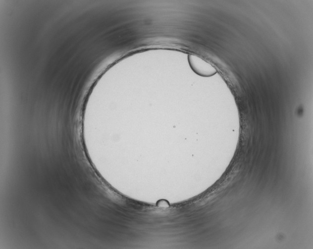 X0000116511188201001201439