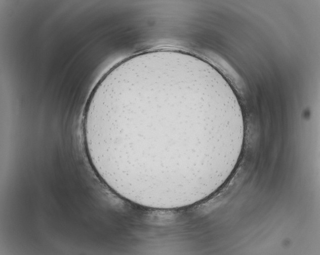 X0000116511190201001201439