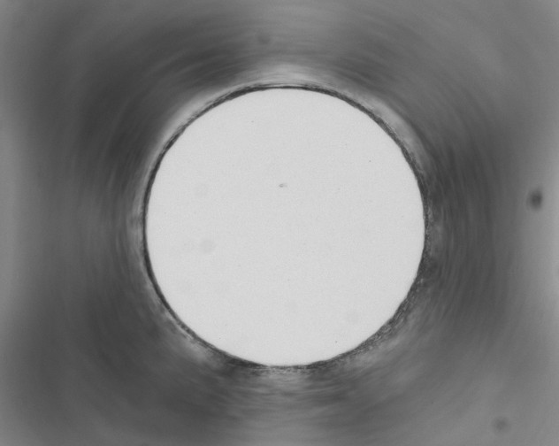 X0000116511191201001201439