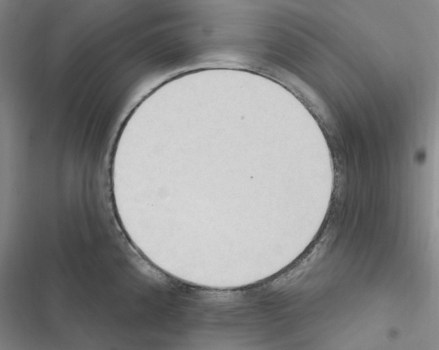 X0000116511192201001201438