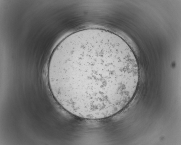 X0000116511198201001201438