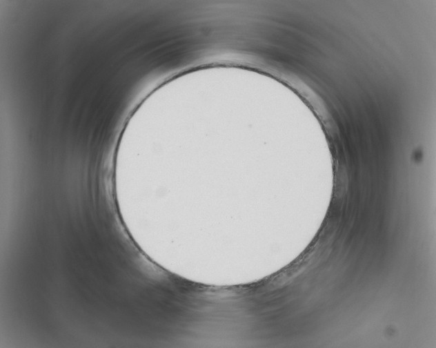 X0000116511199201001201438