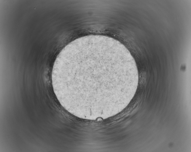 X0000116511202201001201438