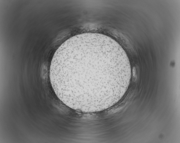 X0000116511203201001201438