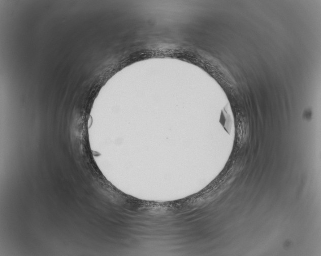 X0000116511204201001201438