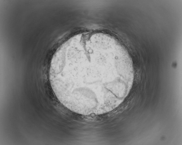 X0000116511205201001201438