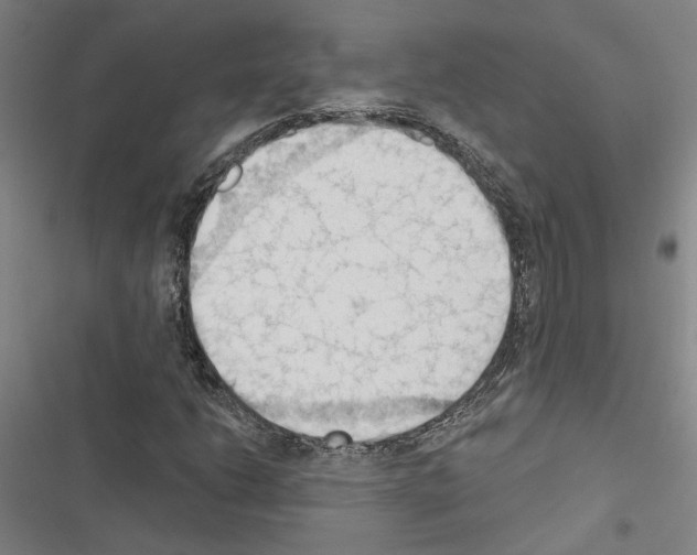 X0000116511206201001201438