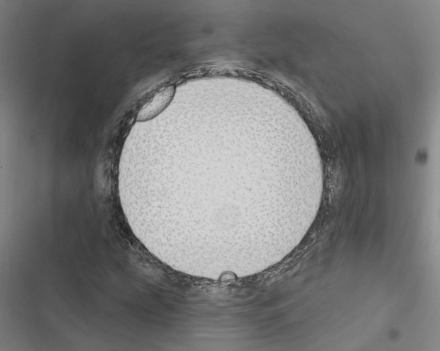 X0000116511207201001201438