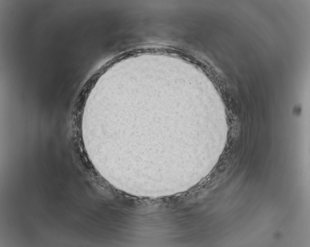 X0000116511208201001201438