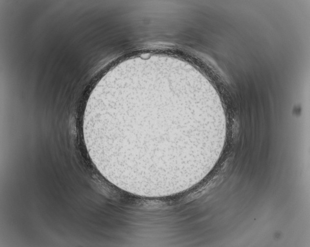 X0000116511209201001201438