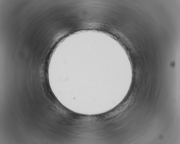 X0000116511210201001201438