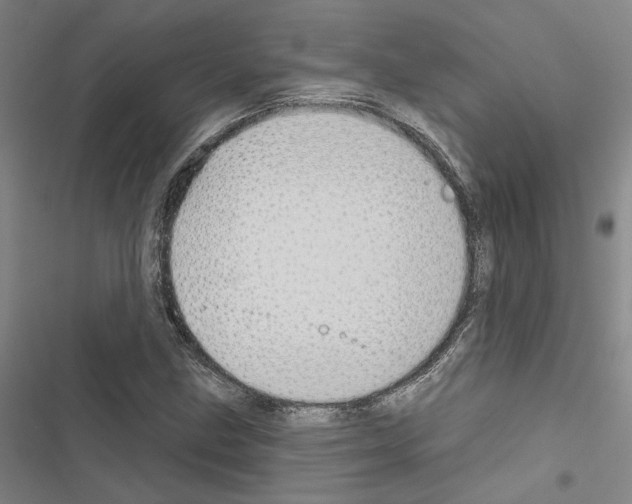 X0000116511211201001201438