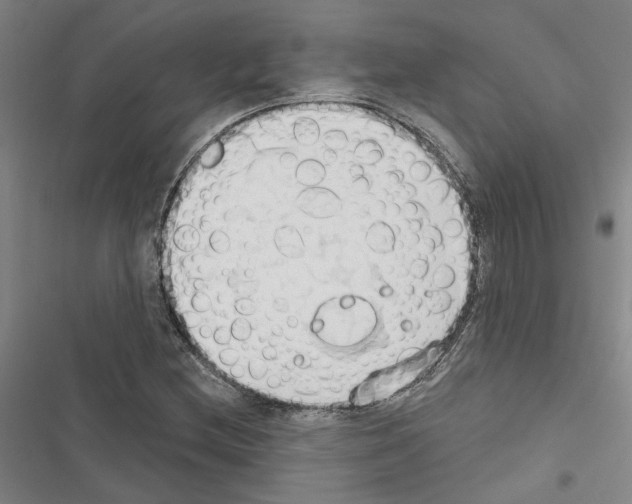 X0000116511212201001201438