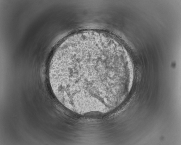 X0000116511213201001201438