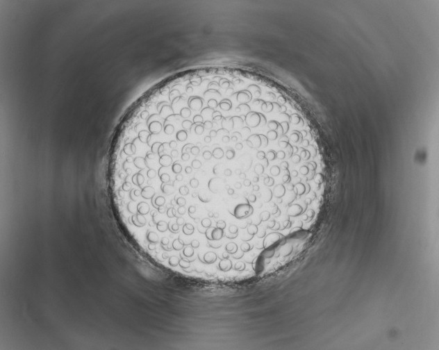 X0000116511216201001201438