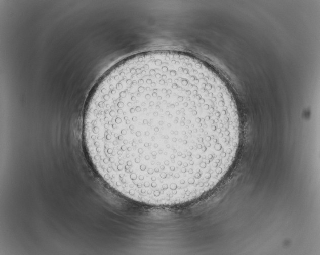 X0000116511220201001201438
