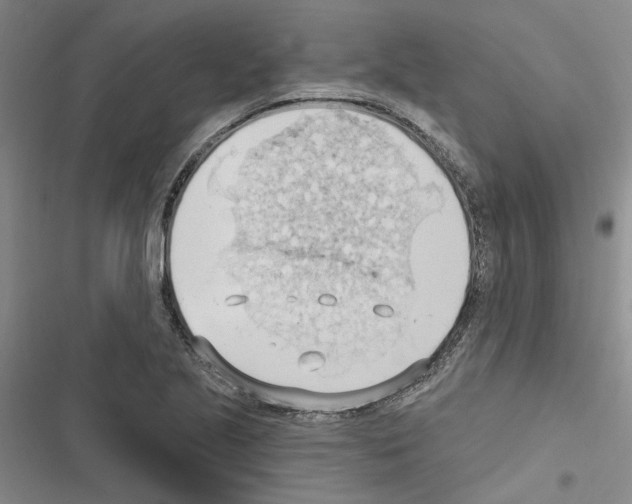 X0000116511221201001201438