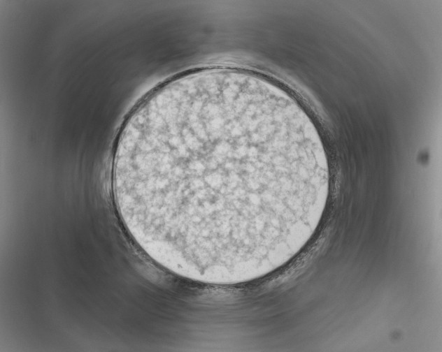 X0000116511224201001201438
