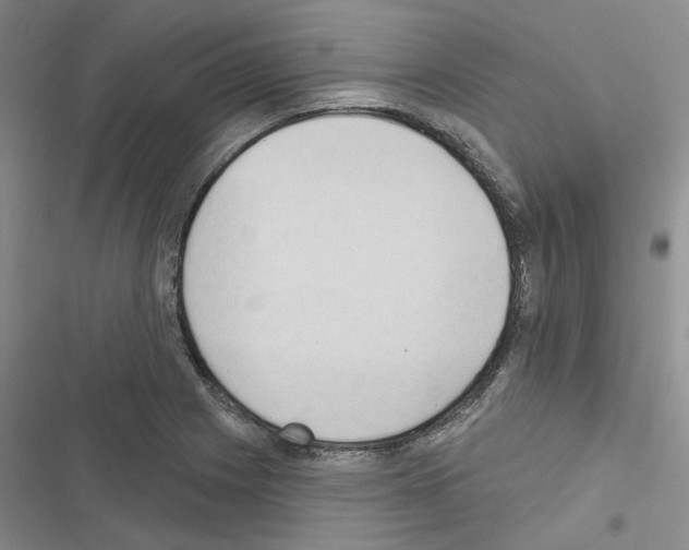 X0000116511225201001201438