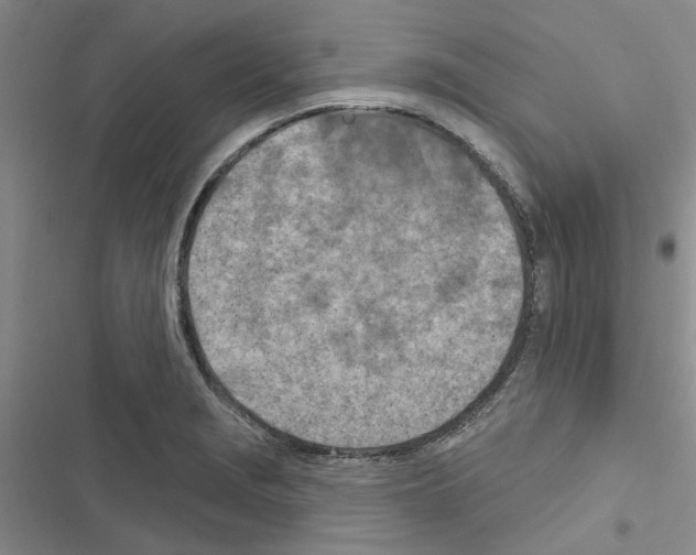 X0000116511229201001201438