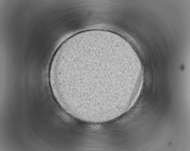 X0000116511230201001201438