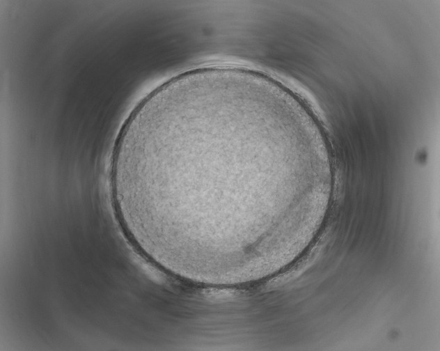 X0000116511231201001201438