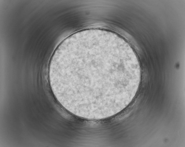 X0000116511234201001201438