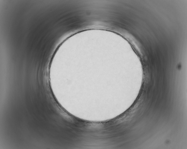 X0000116511238201001201438