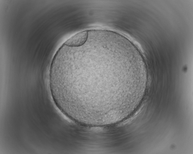 X0000116511239201001201438