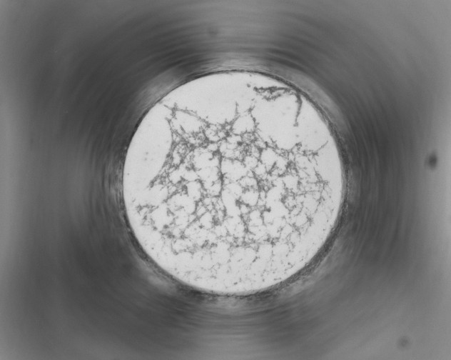 X0000116511241201001201438