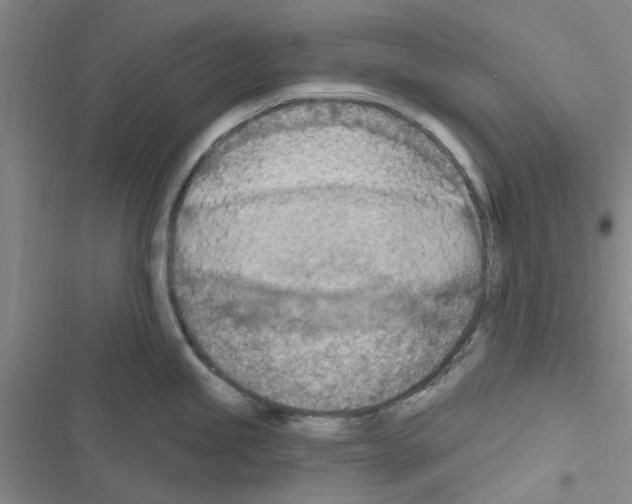 X0000116511245201001201438