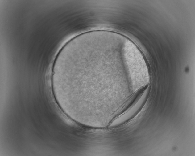 X0000116511246201001201438